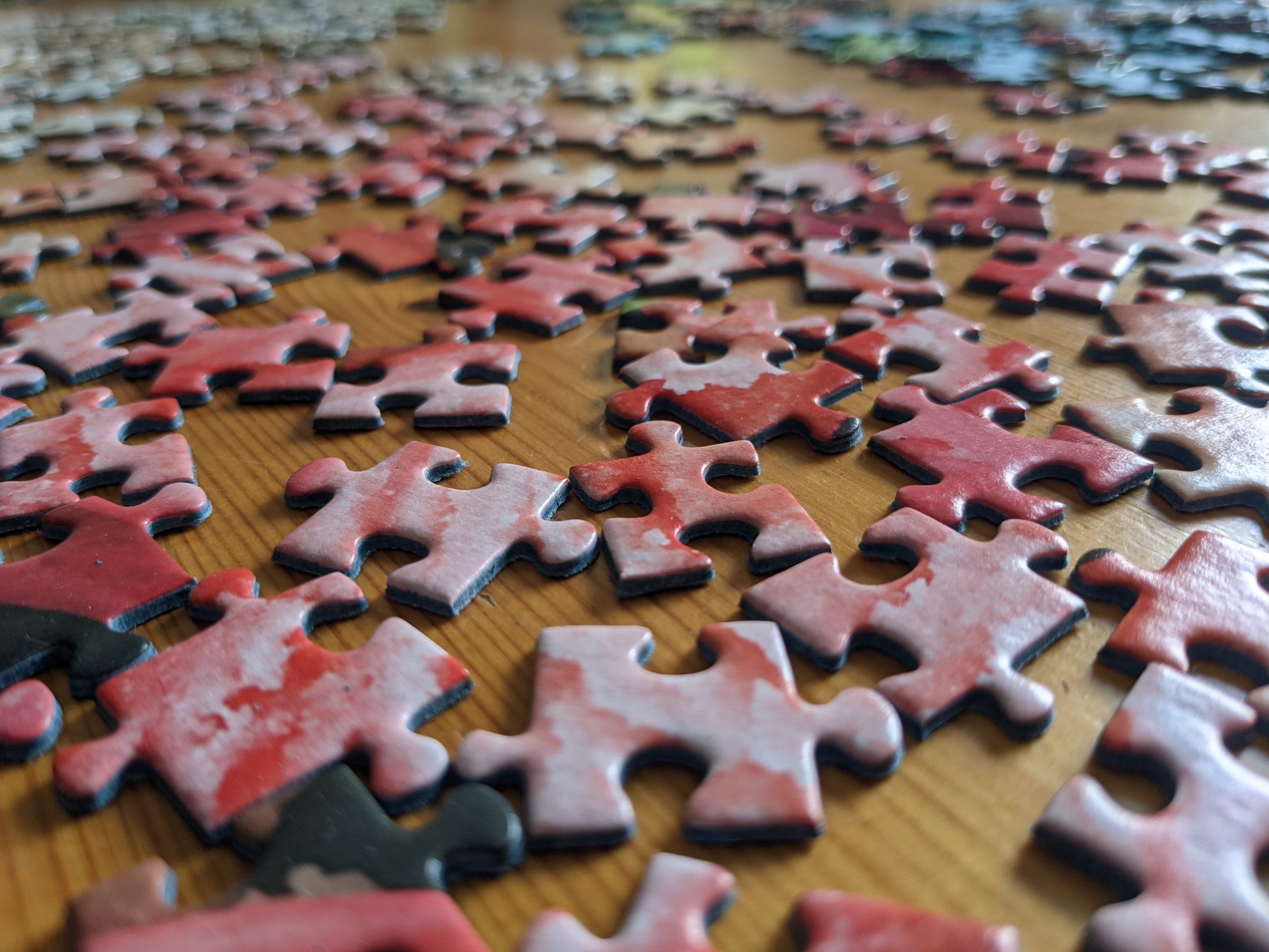 Sorted jigsaw puzzle pieces laid out on work table ready for assembly